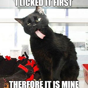 blac cat therefore it is mine.jpg