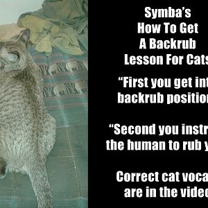 symba-back-rub-lesson-WEB.jpg