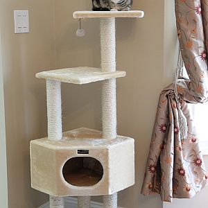 Here's why you need a cat tree (and how to choose one). Cat Trees: 12 Designs That Will Make You Go "wow!"