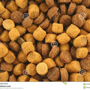 dry-cat-food-background-texture-3623851.jpg