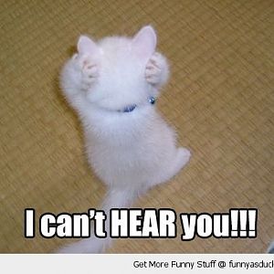 funny-cute-kitten-paws-ears-cant-hear-you-pics_zps