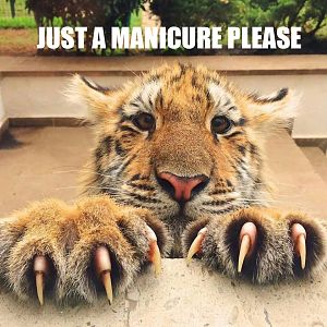 manicure please.jpg