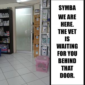 Symba's-Trip-To-The-Vet34.jpg