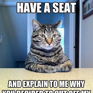 have_-a-seat_cat.jpg