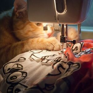 cat_sewing_machine.jpg