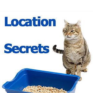 Litterbox location secrets: Find out where you should put the litterbox (and where you absolutely shouldn't!)