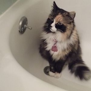Wanna join me for a bath?