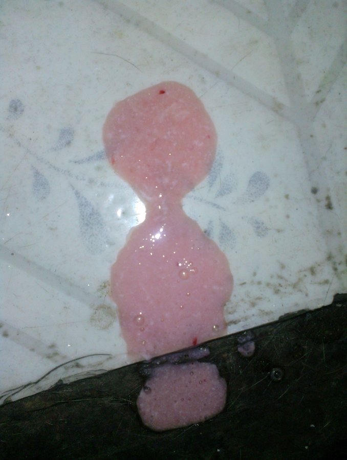 Cat Throwing Up Pink Liquid toxoplasmosis