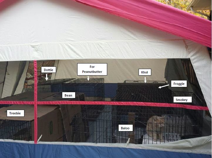 _Tent 8 cages labeled 141021.jpg
