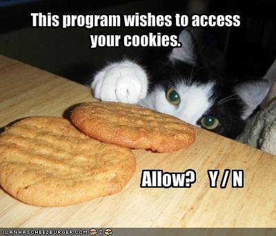 Access to cookies.jpg