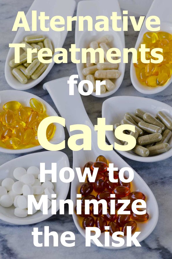 alternative-treatments-cats.jpg