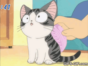 Anime Cat GIFs