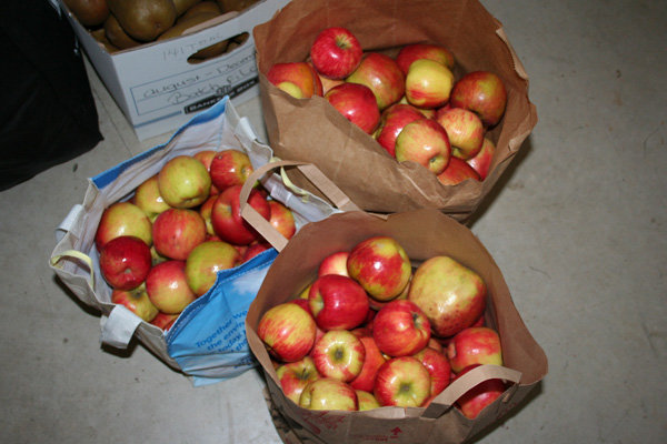 Apples-in-bags.jpg