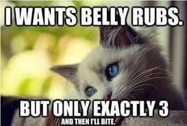 Belly Rub.jpeg