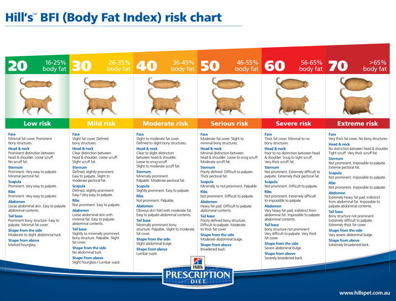 bfi-risk-chart.jpg