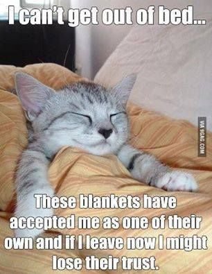 blankets.jpg