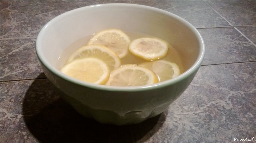 At home Flea treatment - Homemade Lemon