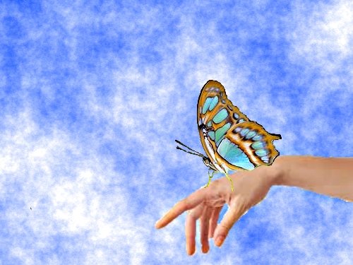 butterflyhand.jpg