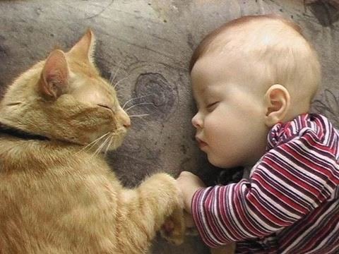 Cat & Baby sleeping.jpg