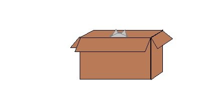 cat box.jpg