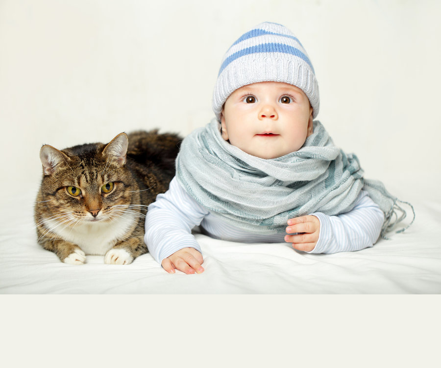 cats-and-babies-f.jpg