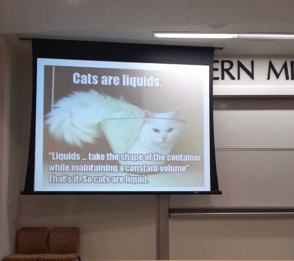 Cats are a Liquid.JPG