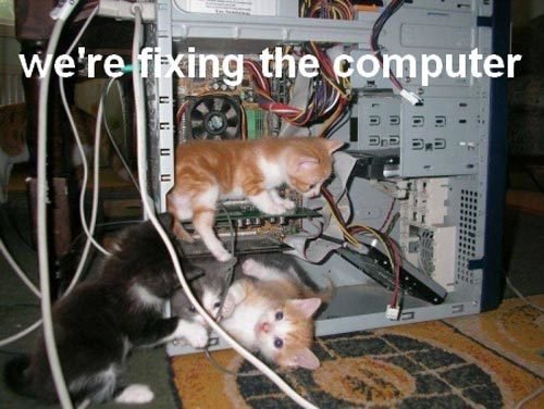 cats-fixing-computer-25111_1_.jpg