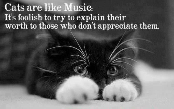 cats music.jpg