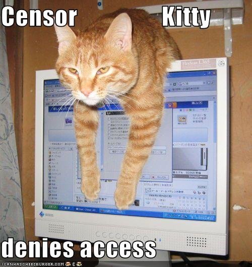 Censor kitteh.jpg