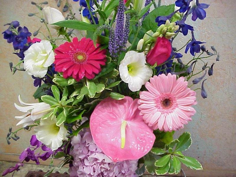 Cheerful Florals.jpg
