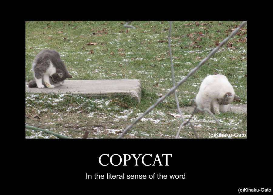 copycat.png