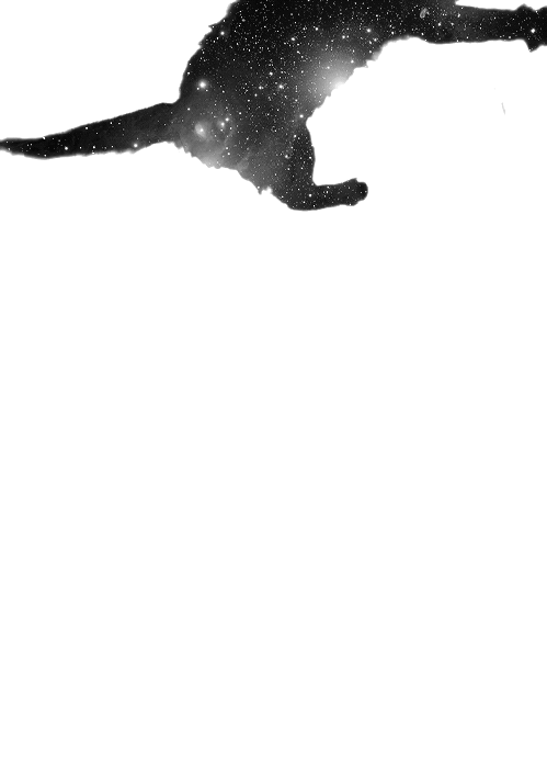 cosmic-cat.gif