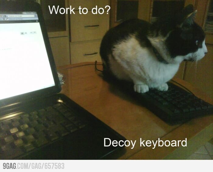 decoy keyboard.jpg