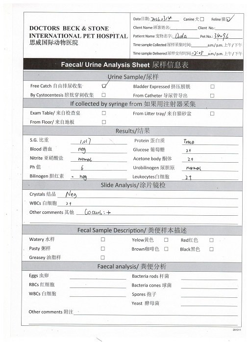 Doda Furlan urine test result 20160314.jpg