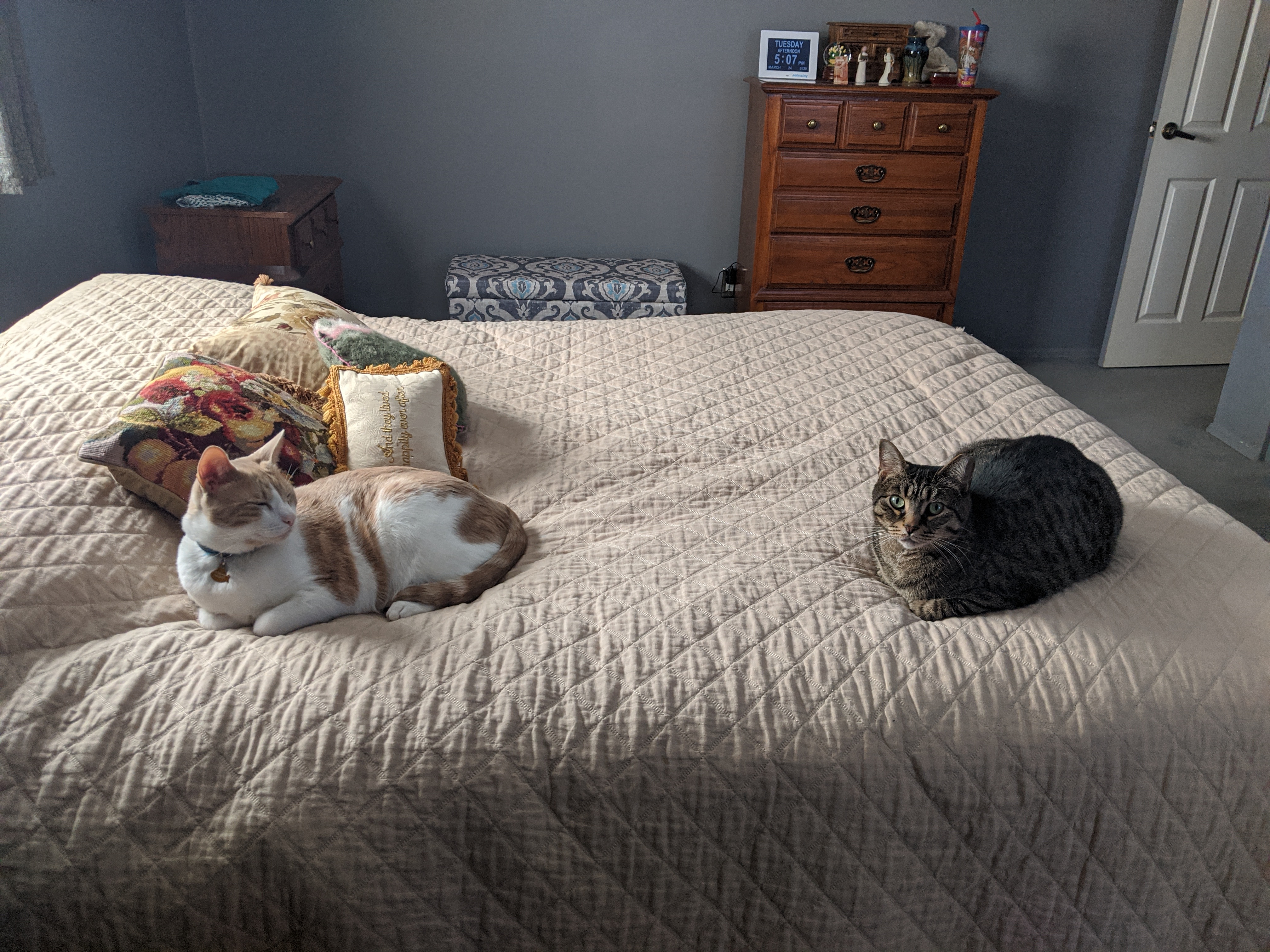 Duncan and Barry on bed.jpg