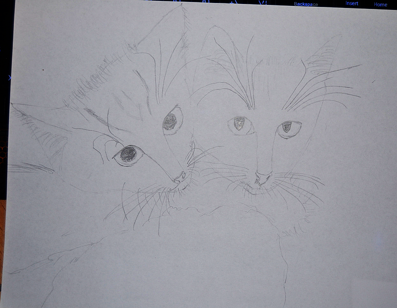 failed_drawing_two_cats.png