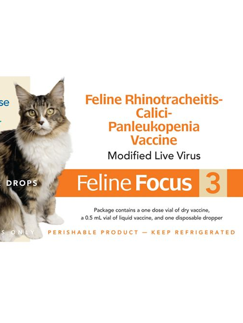 felinefocus3_label.png