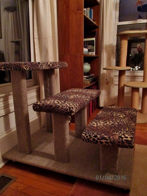 Finished cat benches side view.JPG