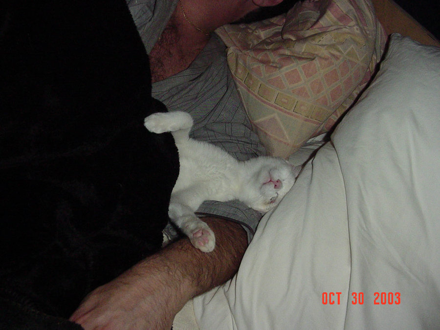Flowerbelle passed out on back 2 Oct 30 2003.jpg