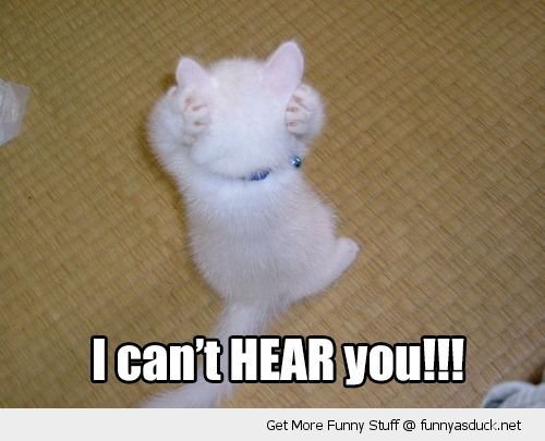 funny-cute-kitten-paws-ears-cant-hear-you-pics_zps