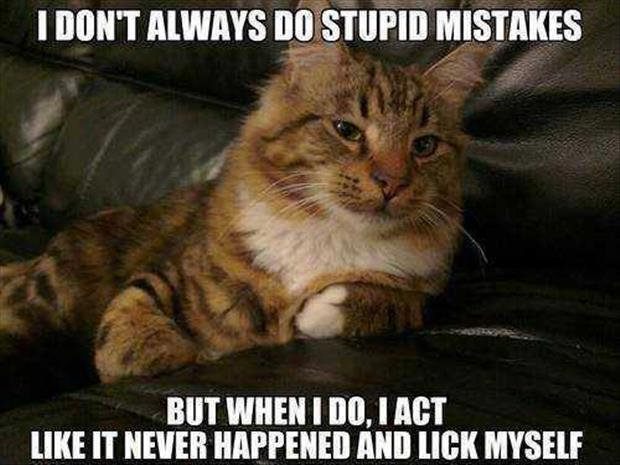 funny-licking-cat-memes.jpg