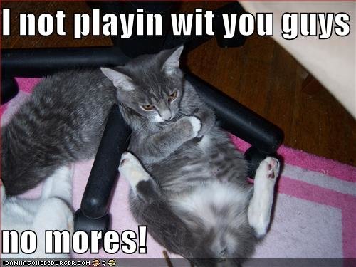 funny-pictures-angry-grey-cat-sulks - playing no m