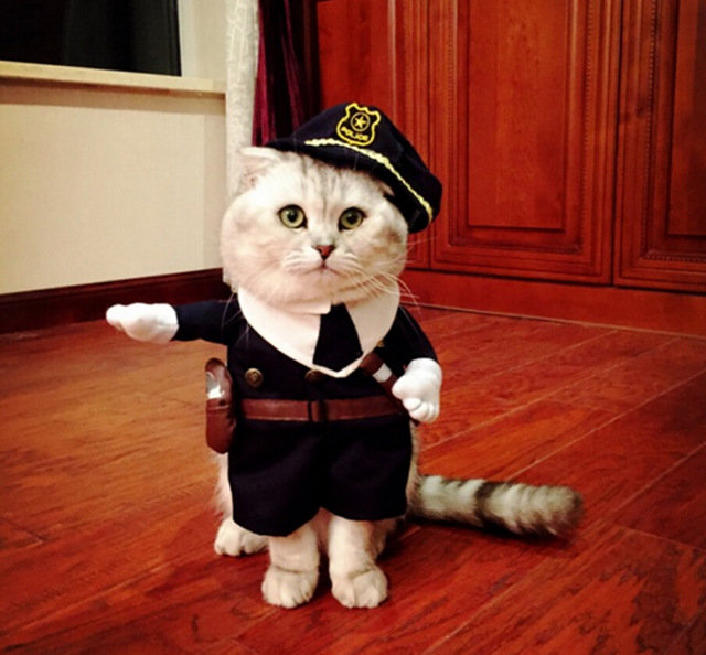 Funny-Pirate-Plolice-style-Pet-Cat-Costumes-Unifor