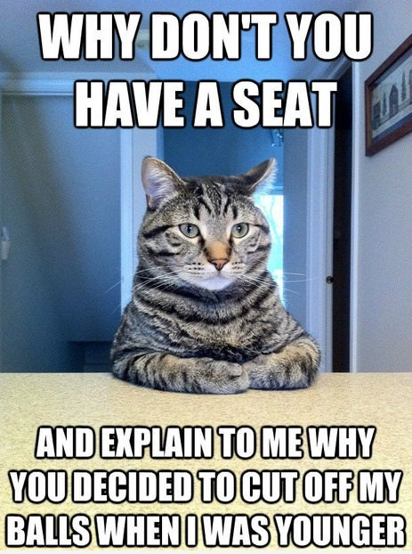 have_-a-seat_cat.jpg