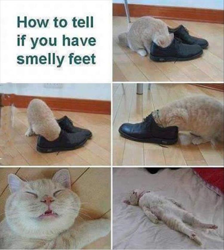 how to tell if you have smelly feet.jpg