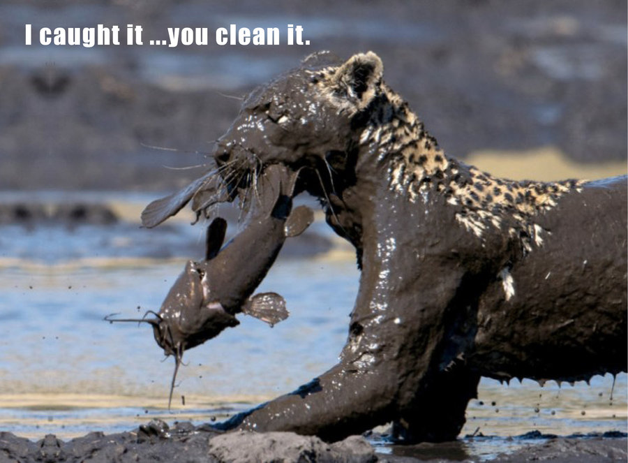i caught it you clean it.jpg