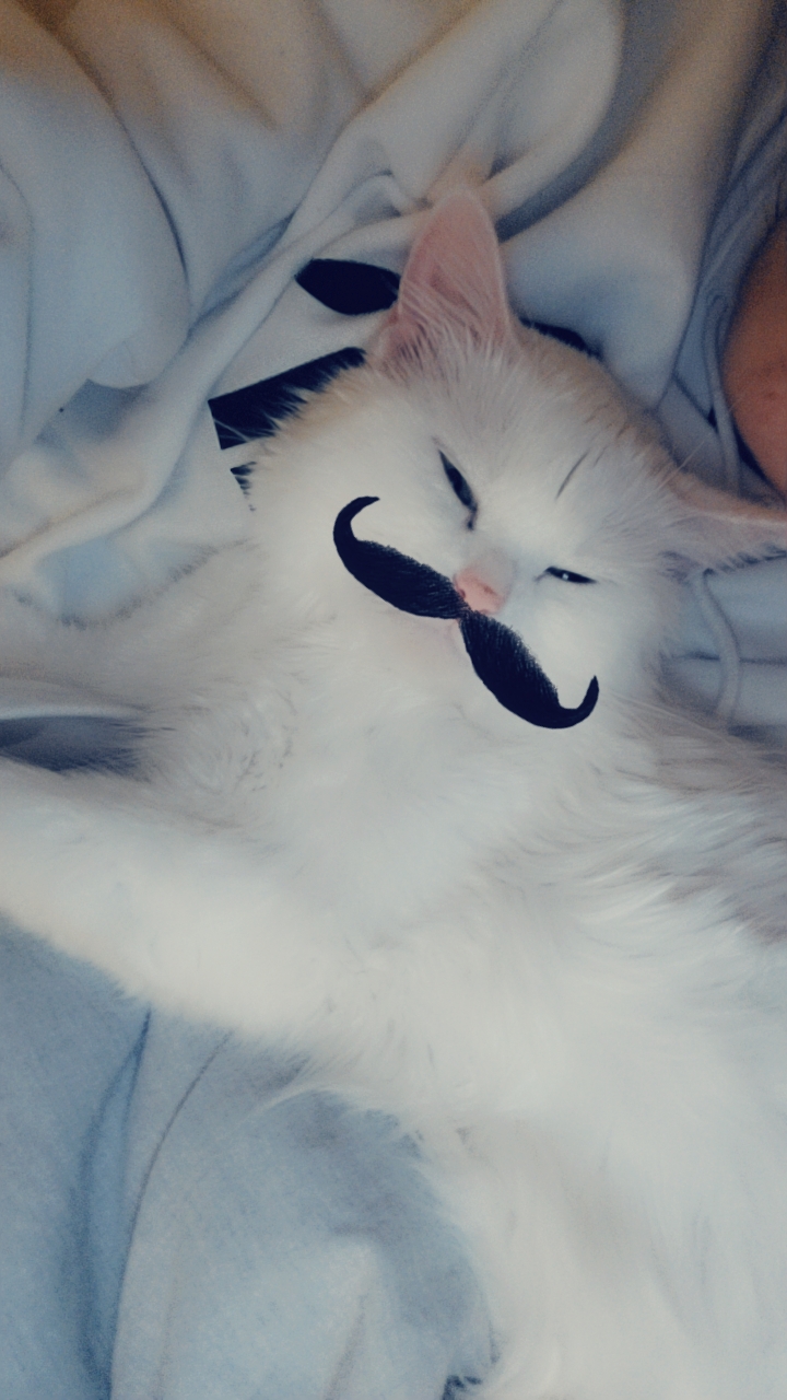 I love the mustache filter 🙈🙊