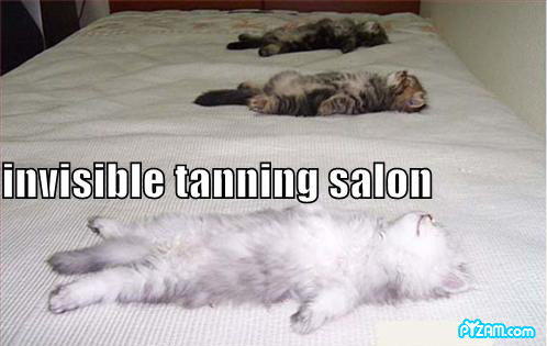 Invisible tanning salon.jpg