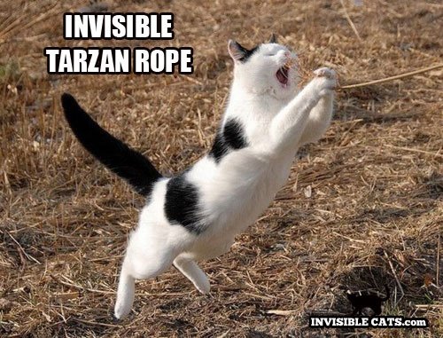 invisible tarzan rope.jpg