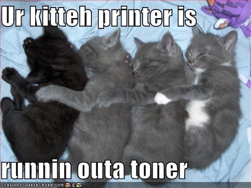 kitten-printer.jpg